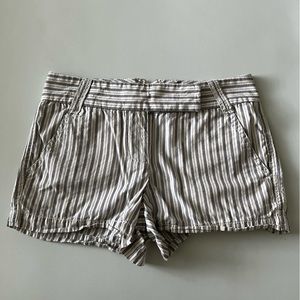 JCrew Chino Shorts